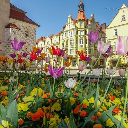 Apartament Przy Starowce - Hampton ブンツラウ エクステリア 写真